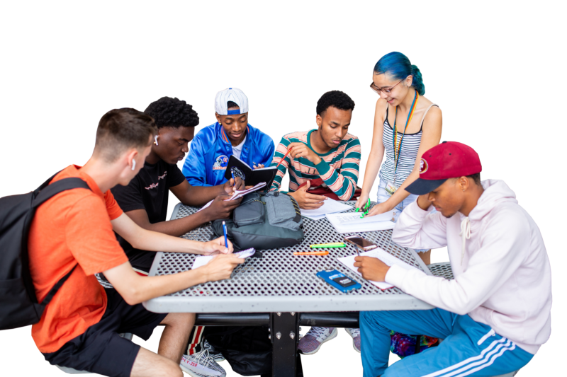 Students studying outdoors.